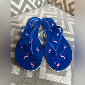 Splendid Flip Flops Blue and Gray Size 9